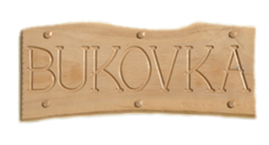Úvod
